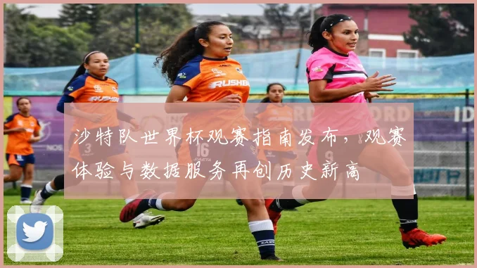 沙特队世界杯观赛指南发布，观赛体验与数据服务再创历史新高