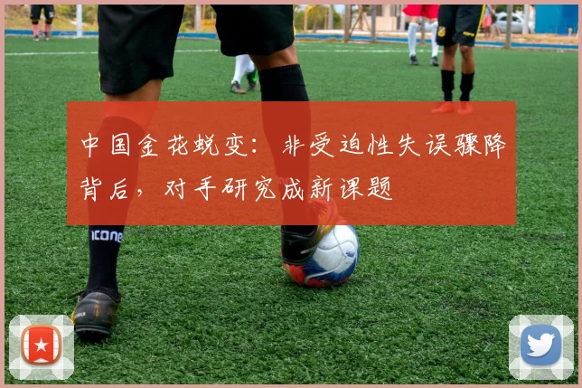 中国金花蜕变：非受迫性失误骤降背后，对手研究成新课题