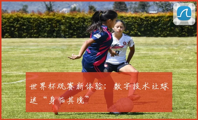 世界杯观赛新体验：数字技术让球迷“身临其境”